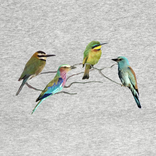 Bee-eater + Roller - Birds in Africa by T-SHIRTS UND MEHR